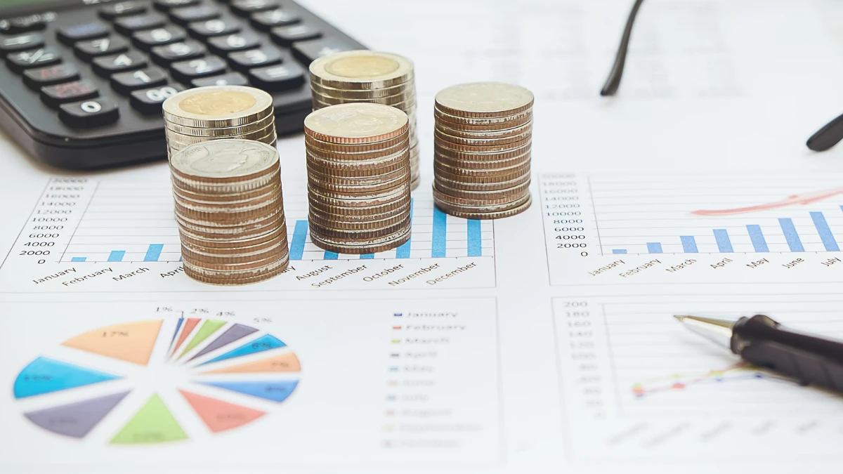 Day care Franchise finances