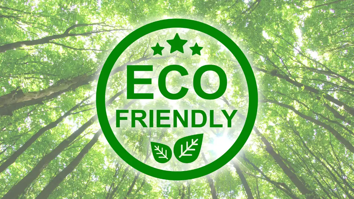 montessori advertising